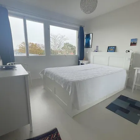Apartment T2 Confortable Avec Balcon, Parking Et Equipements, Centre Arcachon, Proche Et Casino - Fr-1-474-72